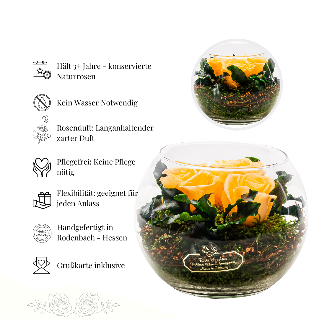 Konservierter Rosenstrauß Pfirsich – Infinity Rose Geschenk