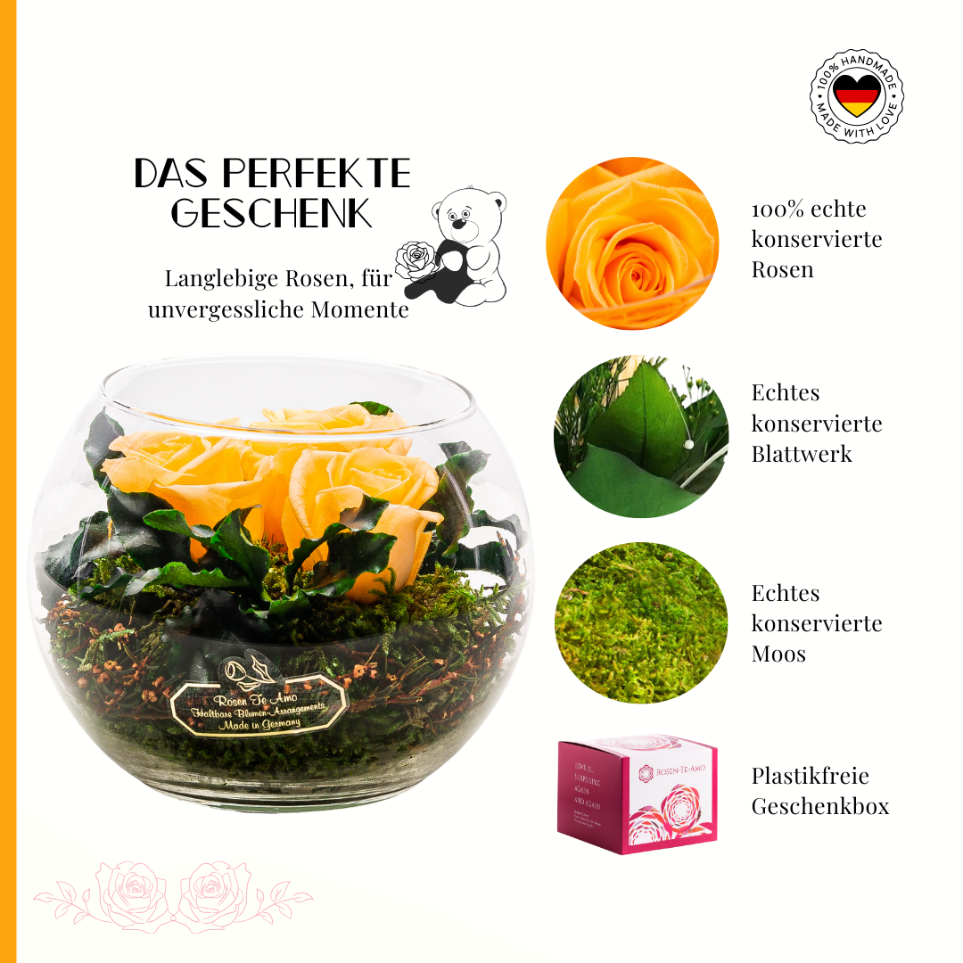 Konservierter Rosenstrauß Pfirsich – Infinity Rosen Geschenk