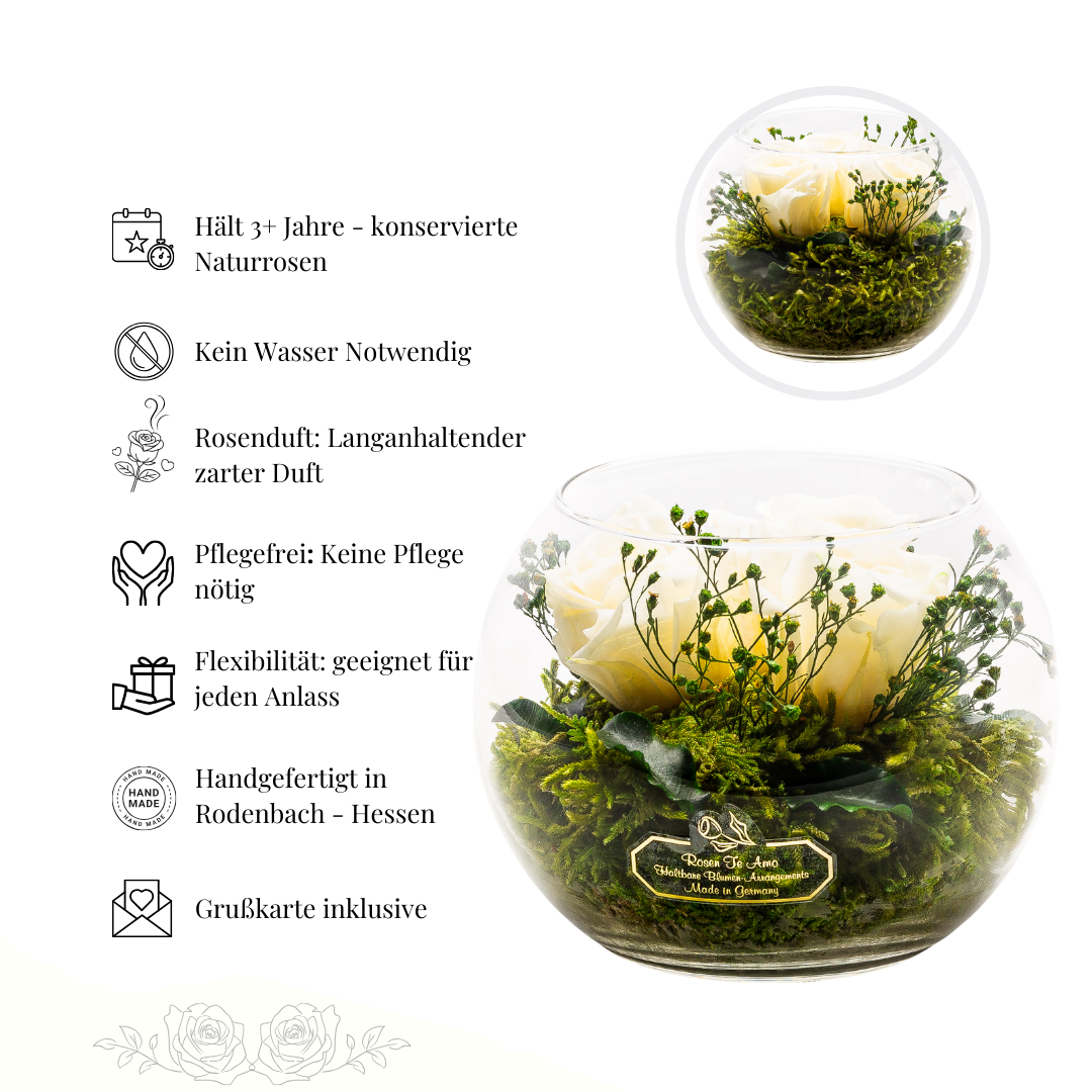 Konservierter Rosenstrauß Weiß – Rosen Geschenk für Frauen
