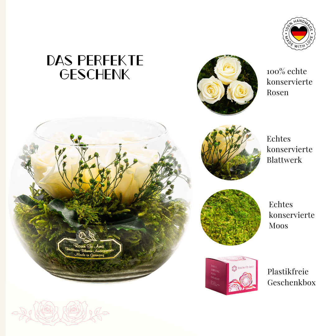 Konservierter Rosenstrauß Weiß – Infinity Rosen Geschenk für Frauen