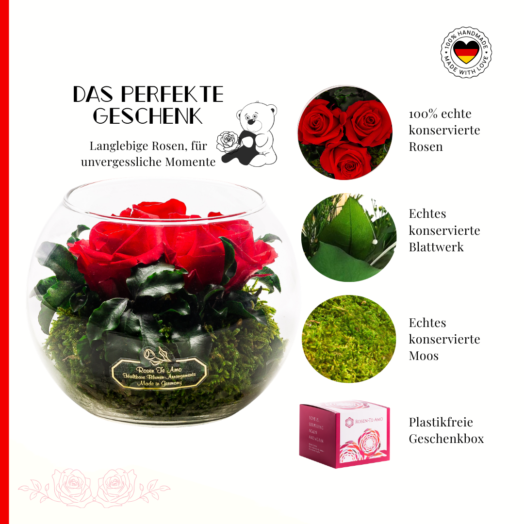 Konservierte Rosenstrauß im Glas - ewige Rosen