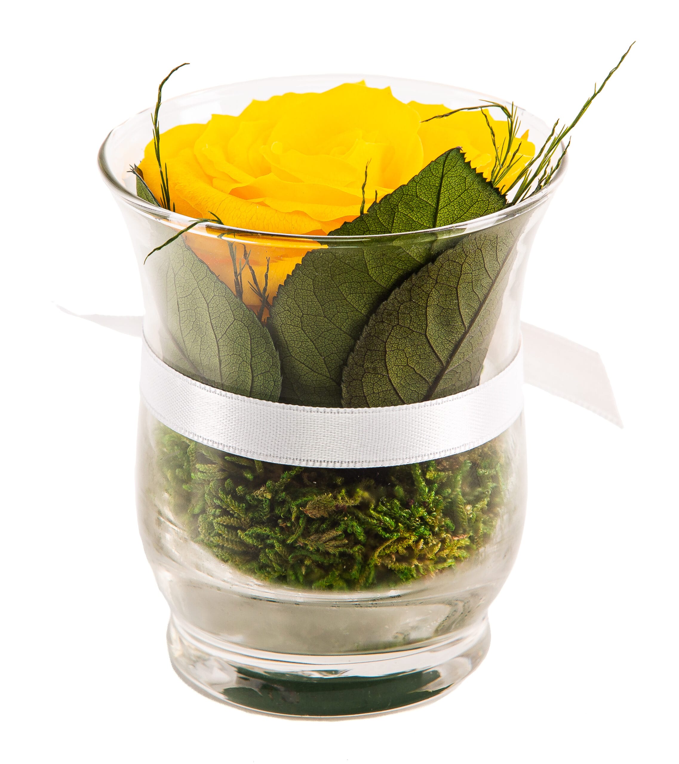 infinity rose hurricane vasen gelb Von der Marke Rosen-Te-Amo - ewige Rosen