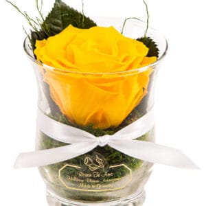 Infinity Rose gelb in Hurricane-Vase Von der Marke Rosen-Te-Amo - ewige Rosen für jeden Anlass