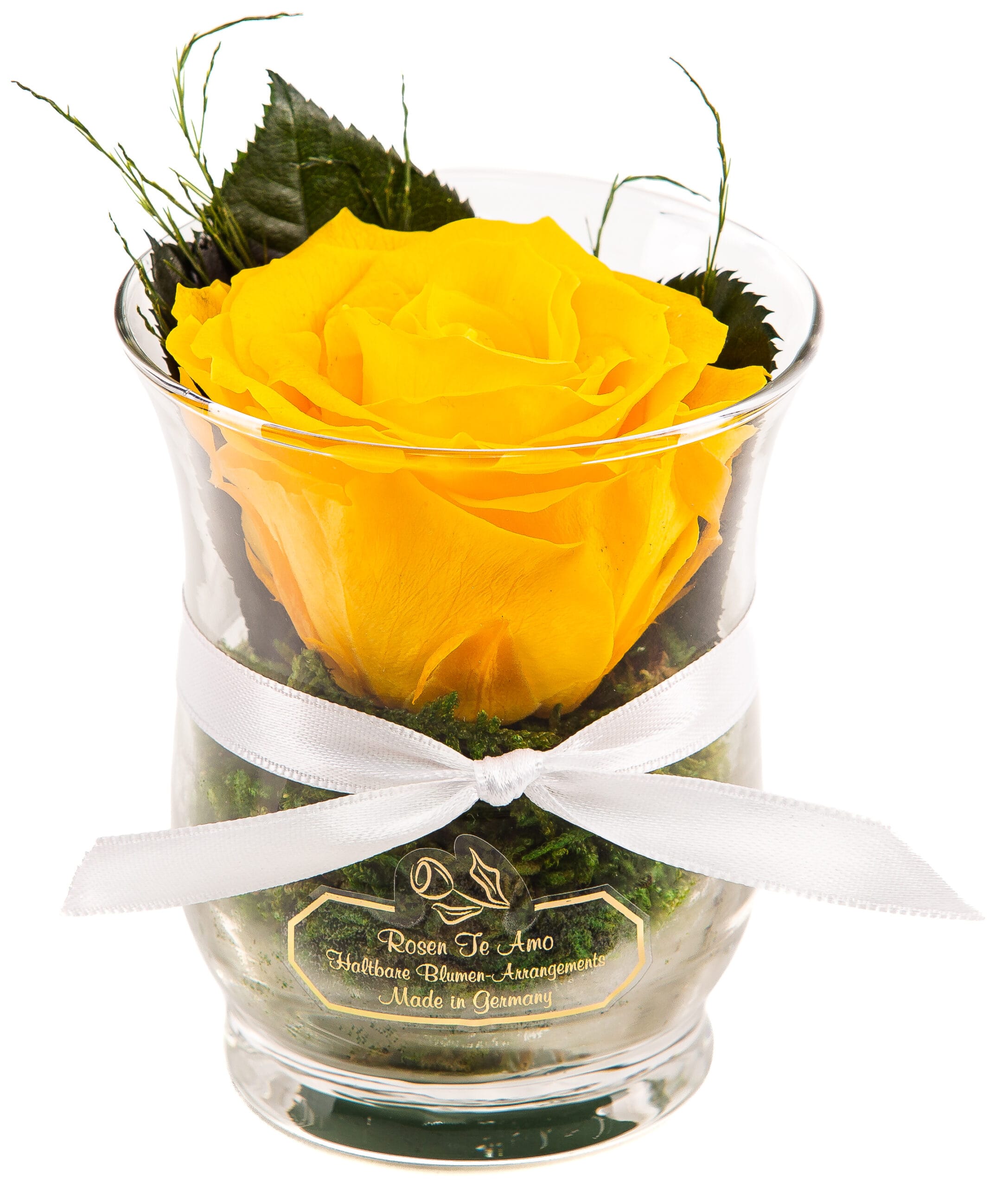 Infinity Rose gelb in Hurricane-Vase Von der Marke Rosen-Te-Amo - ewige Rosen für jeden Anlass