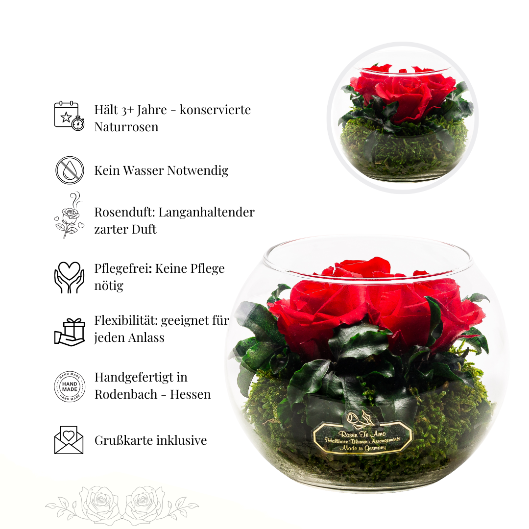 Konservierte Rosenstrauß im Glas - rote_Rosen