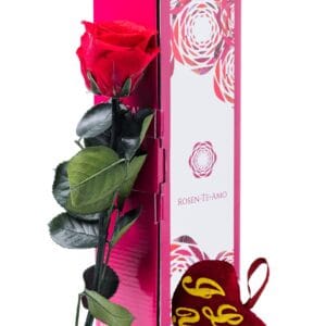konservierte Rosen rot - "I Love you"