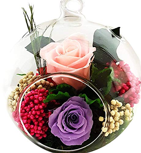 Konservierte Rosenarrangement Rosa im Glas